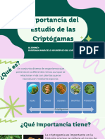 Importancia del Estudio de la Criptogamia