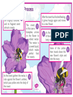 Pollination Info Poster