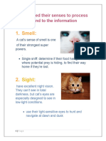 Cat Use Sense To Gather Information