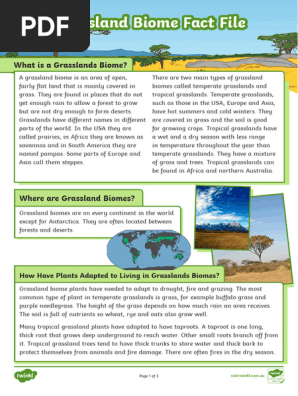 Grassland Biome Fact File