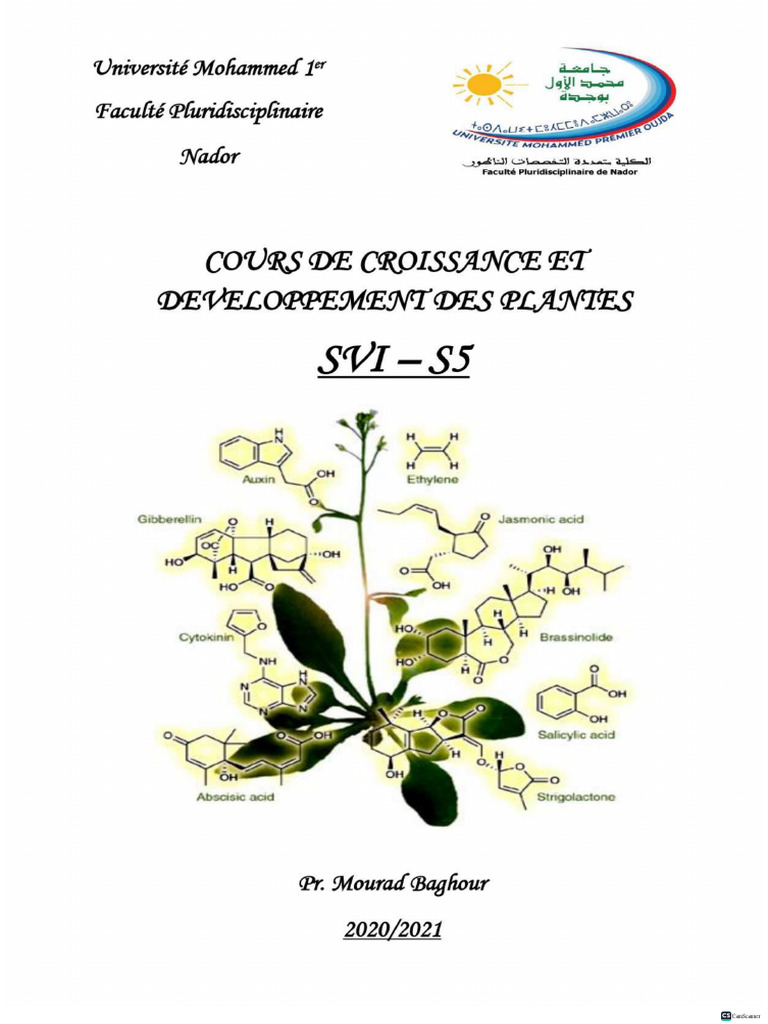 Cours Croissance Des Plantes SVI S5 - Mourad Baghour | PDF