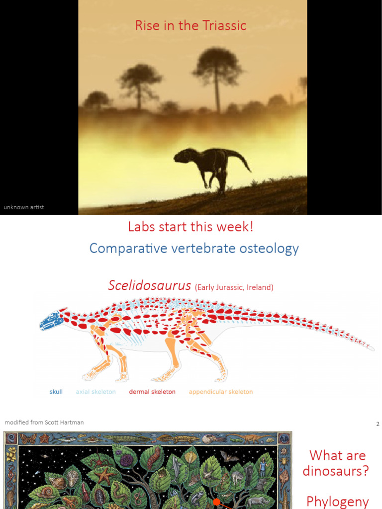 02 Rise in The Triassic | PDF