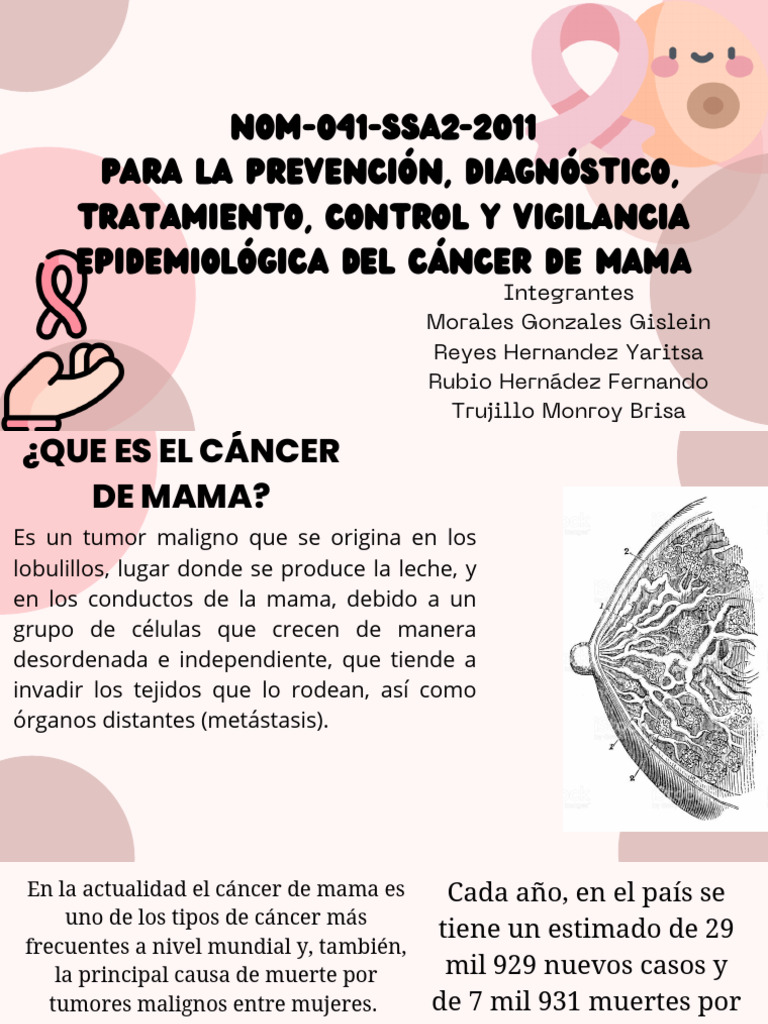 Nom 041 Ssa2 | Descargar gratis PDF | Cáncer de mama | Cáncer