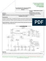 Guia 9 Ciclo III Ciencias Naturales