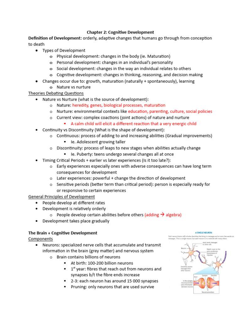 Early Cortex Development and Control | PDF | Neuron | Thought