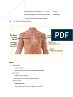 Laporan Review Anatomi Jantung