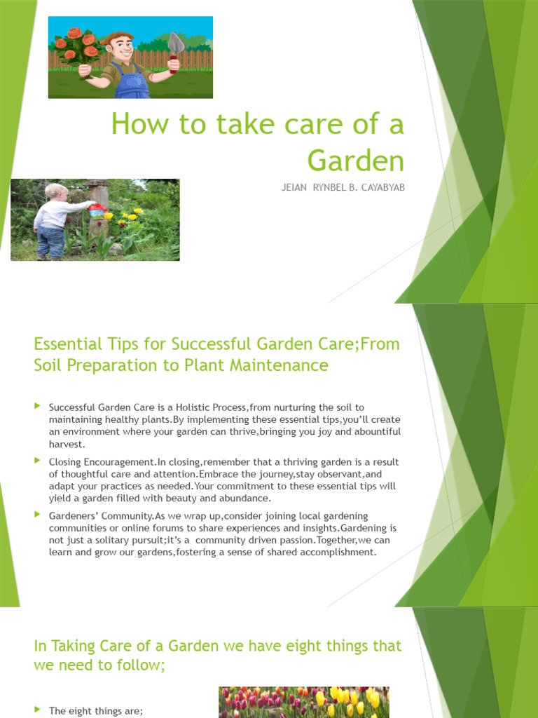 Essential Tips for Garden Care PDF Soil Gardens