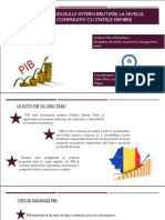 Prezentare PIB - Mecu Elena