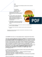 Resumen Párrafo Hamburguesa