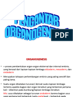 Pengantar Organogenesis BR Pertemuan 22