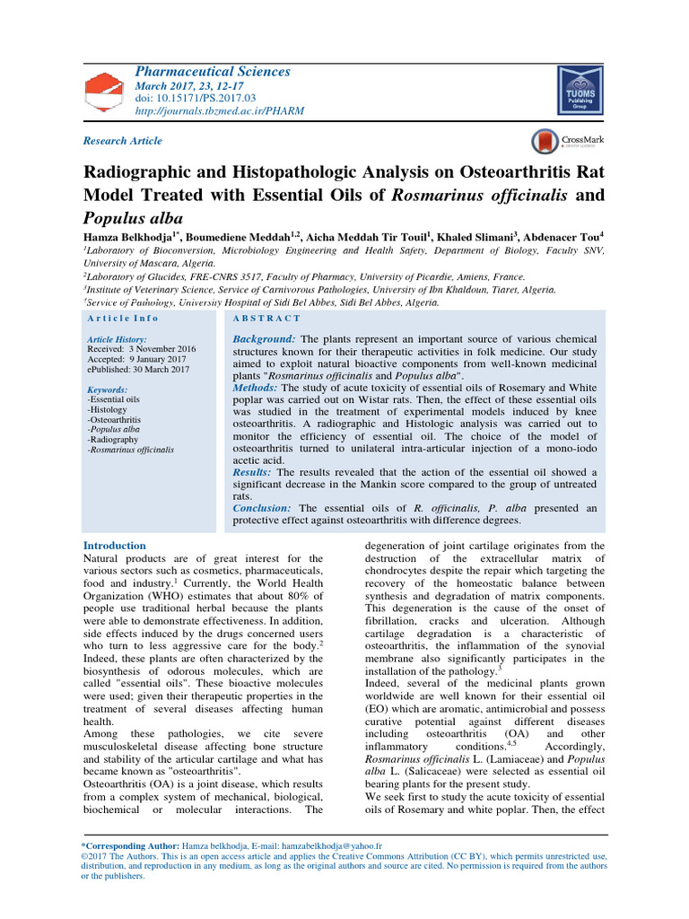 Análise Radiográfica e Histopatológica em Modelo de Rato Com ...
