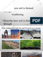 Weathering & Erosion