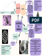 Mapa Mental Alotropos Del Carbono