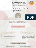 2P-EXPO - Digestión y Absorción de Proteinas