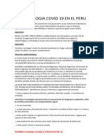 Epidemiologia Covid 19 en El Peru