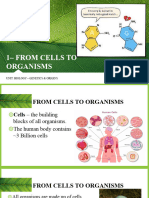 1 - From Cells To Organisms
