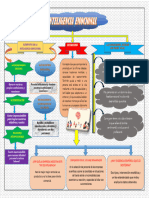 DESARROLLO P. Mapa 01