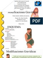 Modificaciones Gravidicas Maria