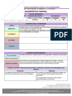 Machote para Diagnóstico Perfil Grupal