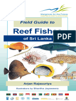 Reef Fishes Book 1