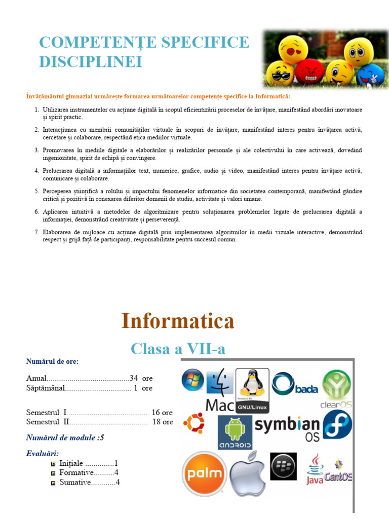 Proiectare de Lunga Durata La Informatica | PDF