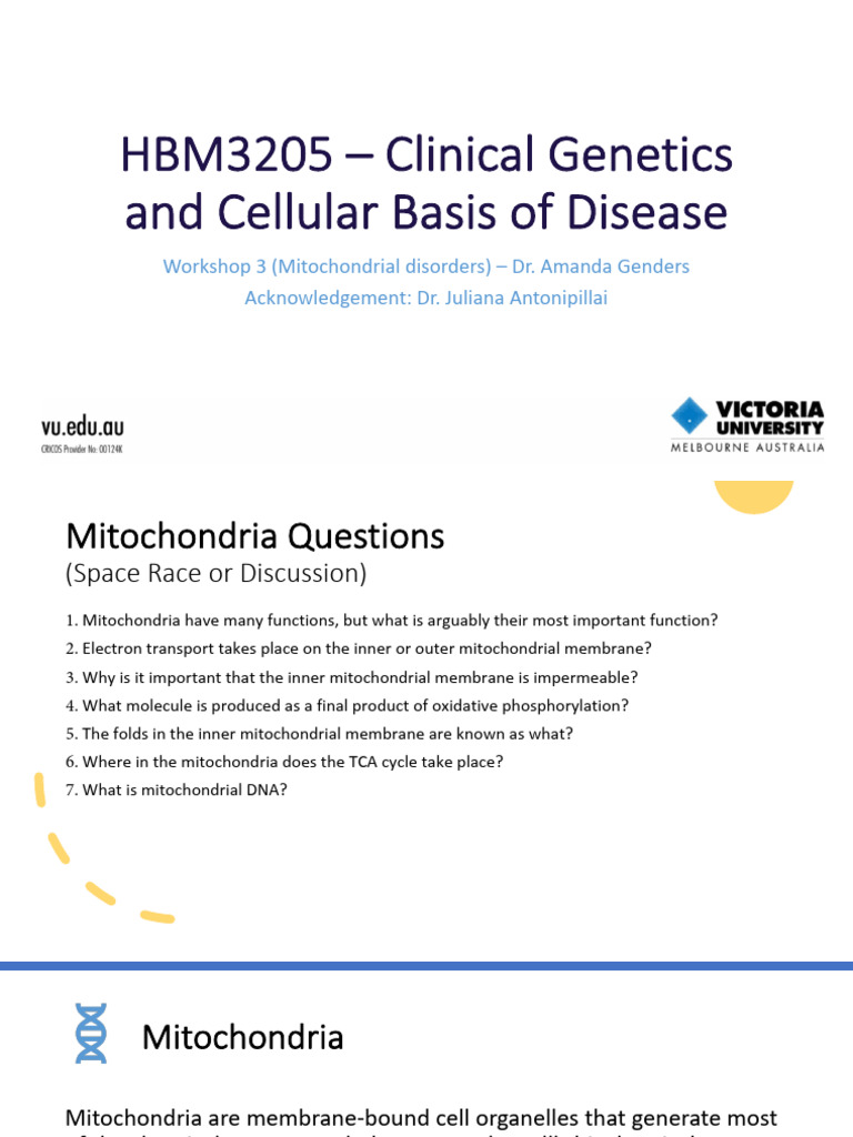 Session 3 - Mitochondrial Disorders | PDF | Mitochondrion ...