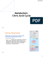 TCA Cycle Lecture
