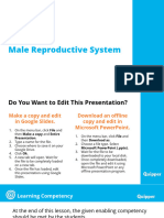 Lesson 10.2 Male Reproductive System