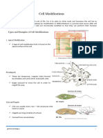 Cell Modifications Handouts