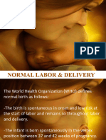 Ob Normal Labordelivery