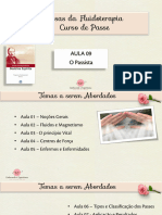 PDF Aula 09 - O Passista