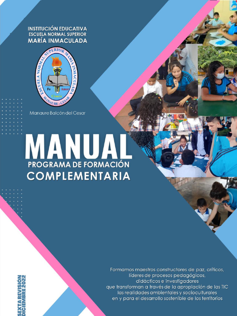 Manual Del PFC 2023-1 | PDF | Educación de la primera infancia | Justicia