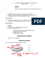 3 - Qué Es Una Célula y 4 - Celula Eucariota