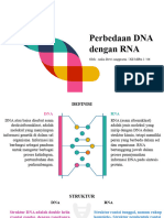 Perbedaan DNA Dengan RNA