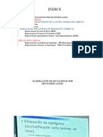 Biomol2 PDF