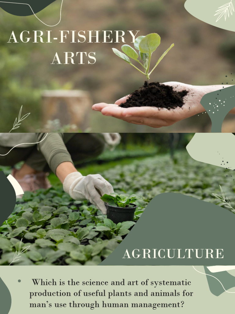 Tle Afa Pdf Leaf Plant Stem