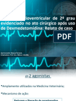 Bloqueio Atrioventricular de 2º Grau Evidenciado No Ato Cirúrgico Após Uso de Dexmedetomidina: Relato de Caso