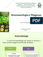 Aula 3 - Sintomatologia