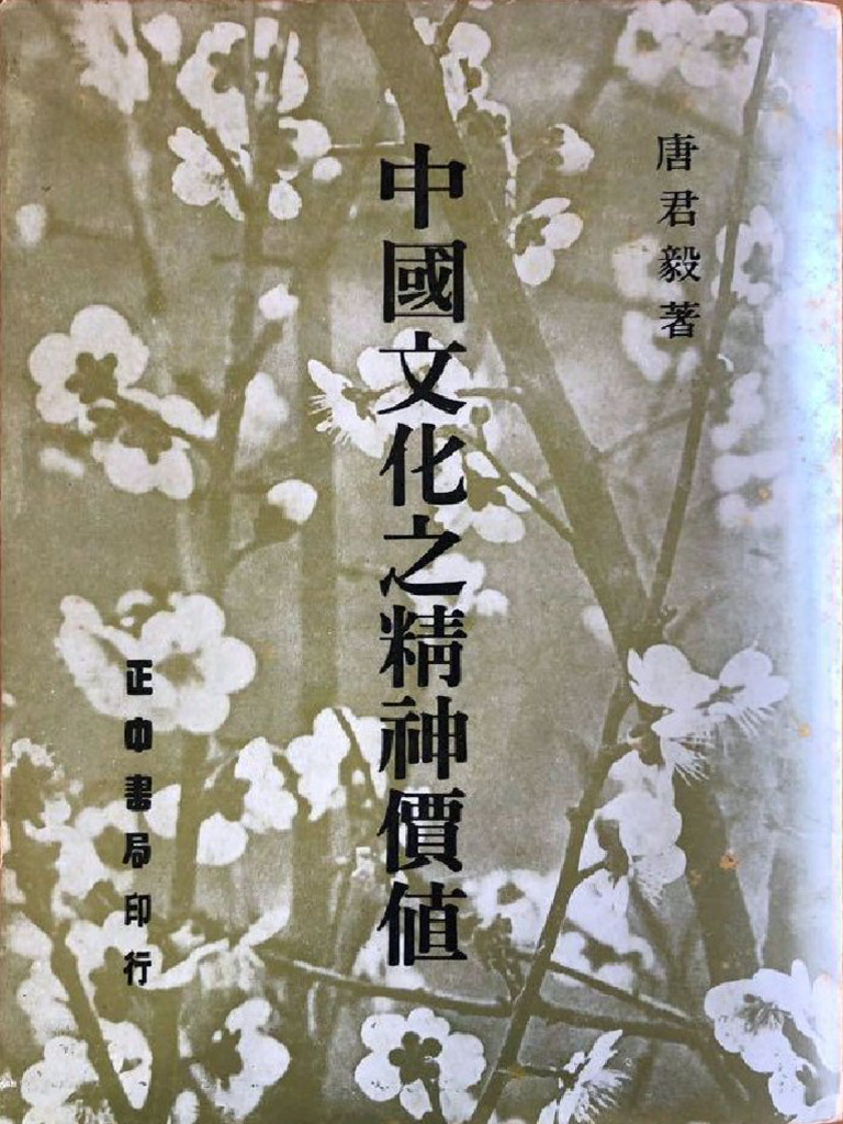 中国文化之精神价值(唐君毅) (Z-Library) | PDF