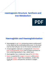 Haemoglobin-Structure Synthesis and Iron Metabolism