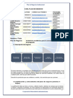 Plan de Negocio Institucional