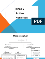 Biomolc3a9culas 2