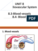 Unit 8 The Cardiovascular System 8.3-Blood Vessels 8.4-Blood