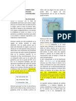 13 - SISTEMA RESPIRATORIO - Clase 13