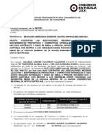 Conformación de Proponente Plural Documento de Conformación de Consorcio