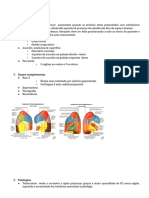 Resumo Aplicada Vias Aéreas Inferiores.docx