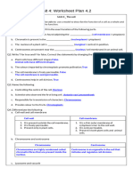 Answer Key - Unit 4.2 - Worksheet Plan - The Cell