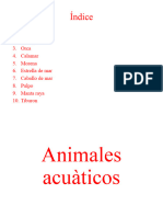 Animales Acuaticos 1