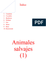 Animales Salvajes 1