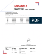 Constancia de Fase Avanzada Culminada